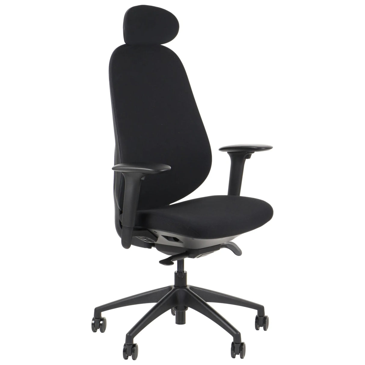 Ergonomic Office Chair Larston