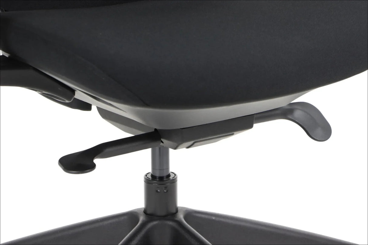 Ergonomic Office Chair Larston