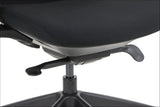 Ergonomic Office Chair Larston