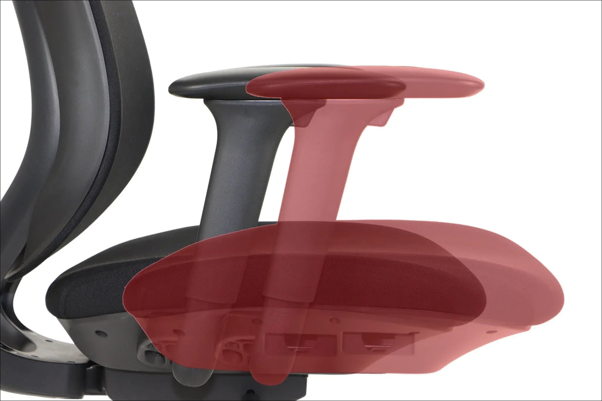 Ergonomic Office Chair Larston