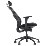 Ergonomic Office Chair Larston