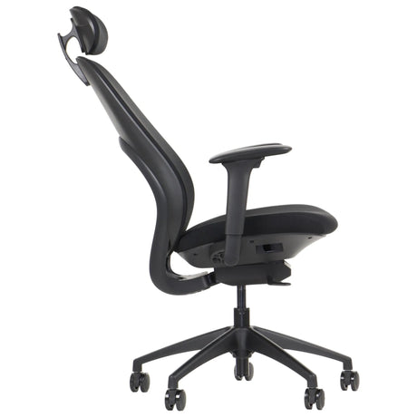 Ergonomic Office Chair Larston