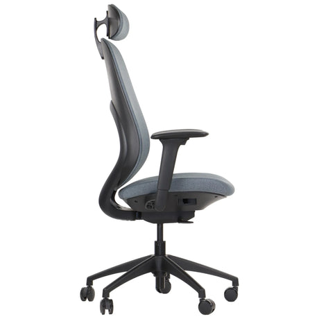 Ergonomic Office Chair Larston