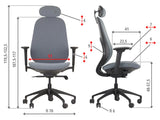 Ergonomic Office Chair Larston