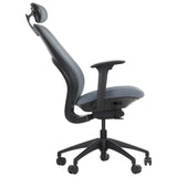 Ergonomic Office Chair Larston
