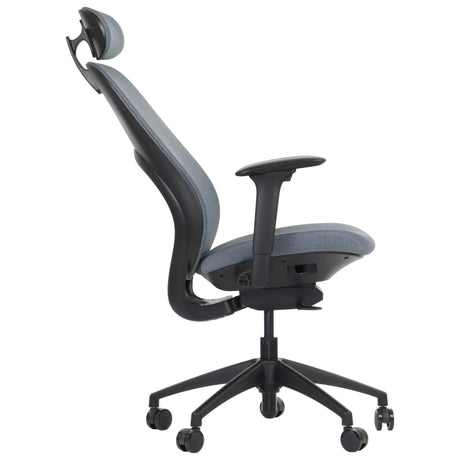 Ergonomic Office Chair Larston