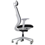 Ergonomic Office Chair Larston GF