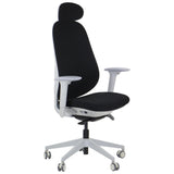 Ergonomic Office Chair Larston GF