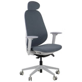 Ergonomic Office Chair Larston GF