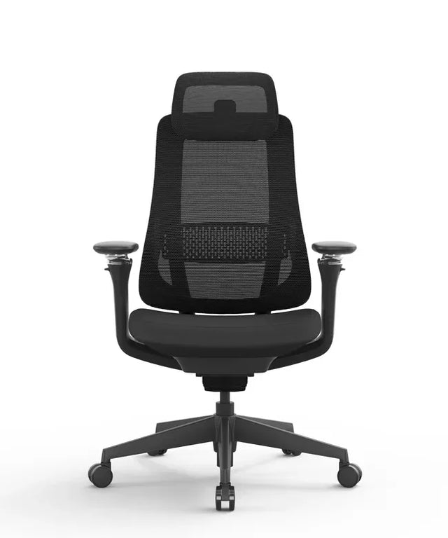Ergonomic Office Chair Valaris Pro