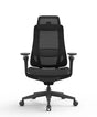 Ergonomic Office Chair Valaris Pro