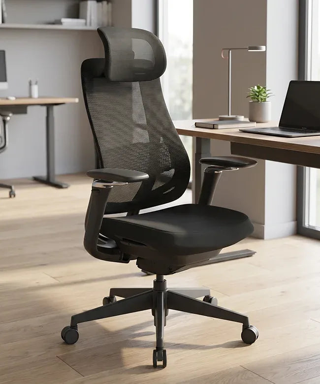 Ergonomic Office Chair Valaris Pro
