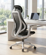 Ergonomic Office Chair Valaris Pro