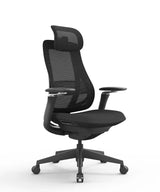 Ergonomic Office Chair Valaris Pro