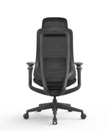 Ergonomic Office Chair Valaris Pro