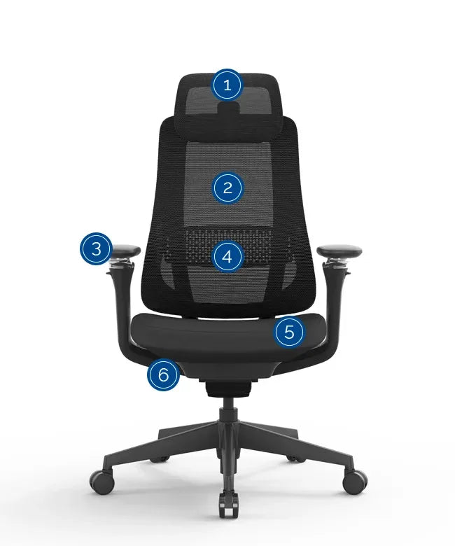 Ergonomic Office Chair Valaris Pro