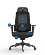 Ergonomic Office Chair Valaris Pro