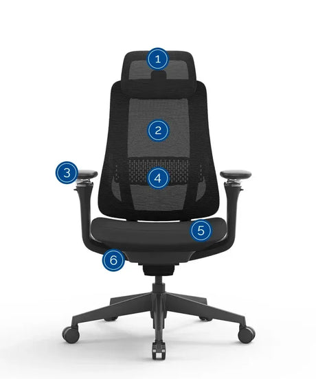 Ergonomic Office Chair Valaris Pro