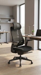 Ergonomic Office Chair Valaris Pro