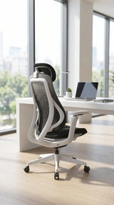 Ergonomic Office Chair Valaris Pro