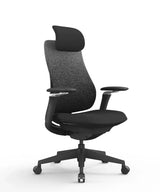 Ergonomic Office Chair Valaris Pro