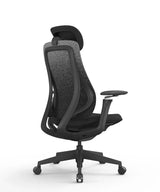 Ergonomic Office Chair Valaris Pro