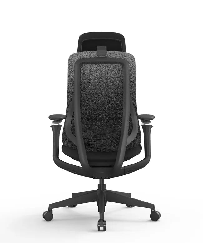Ergonomic Office Chair Valaris Pro