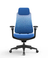 Ergonomic Office Chair Valaris Pro