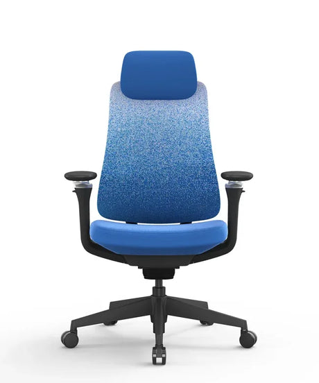 Ergonomic Office Chair Valaris Pro