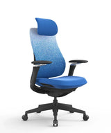 Ergonomic Office Chair Valaris Pro