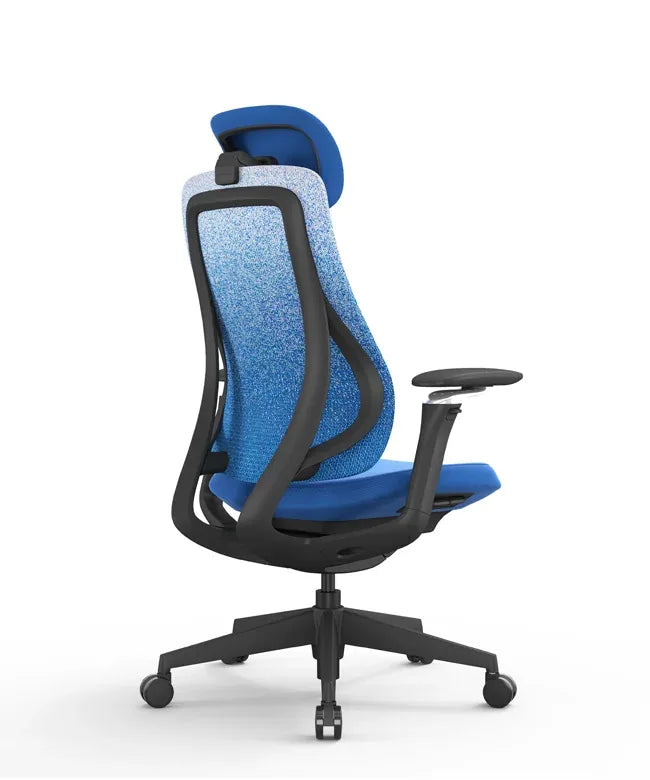Ergonomic Office Chair Valaris Pro