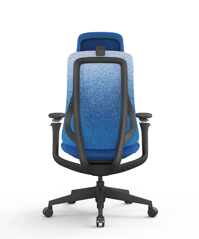Ergonomic Office Chair Valaris Pro