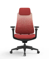 Ergonomic Office Chair Valaris Pro