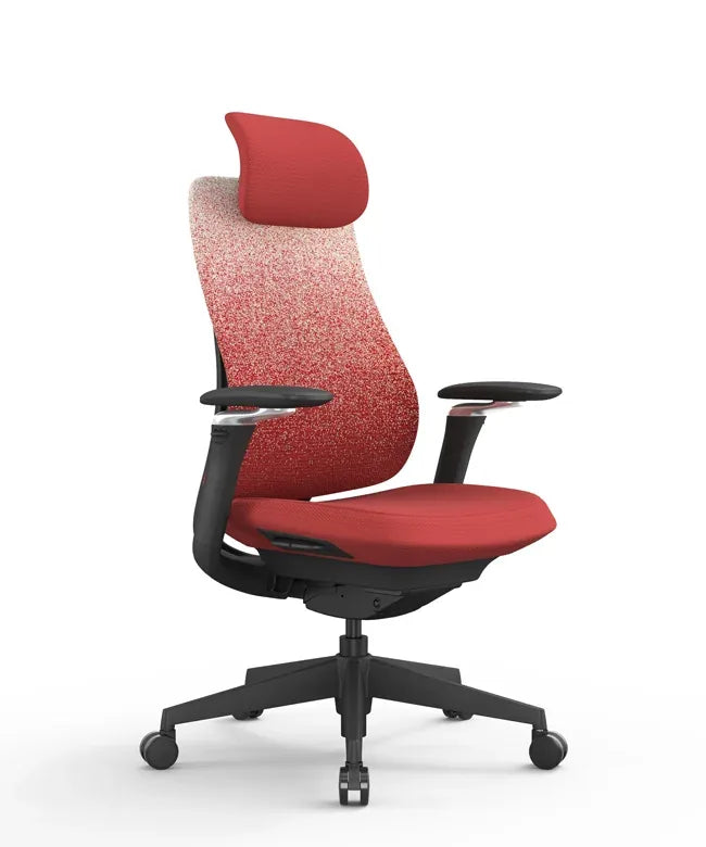 Ergonomic Office Chair Valaris Pro