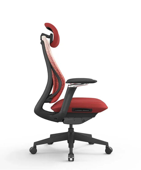 Ergonomic Office Chair Valaris Pro