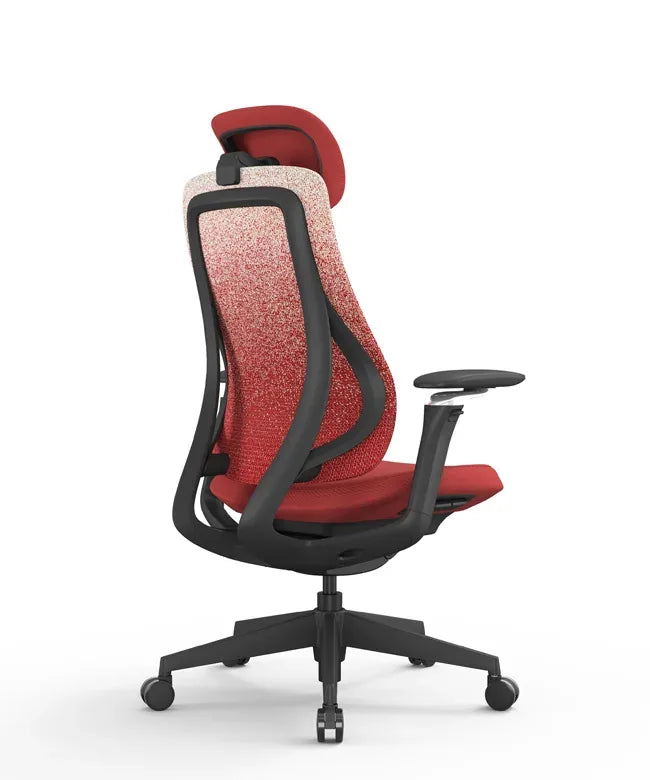 Ergonomic Office Chair Valaris Pro