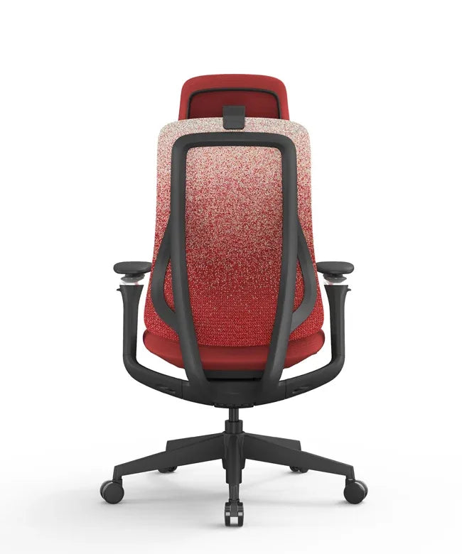 Ergonomic Office Chair Valaris Pro