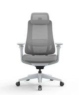 Ergonomic Office Chair Valaris Pro
