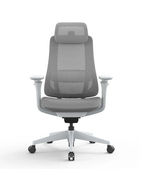 Ergonomic Office Chair Valaris Pro