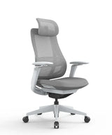 Ergonomic Office Chair Valaris Pro