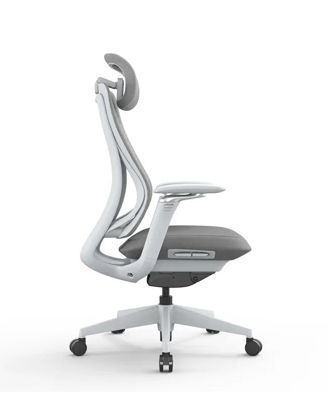 Ergonomic Office Chair Valaris Pro