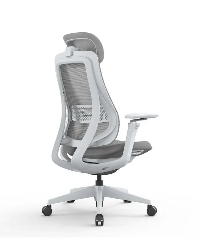 Ergonomic Office Chair Valaris Pro