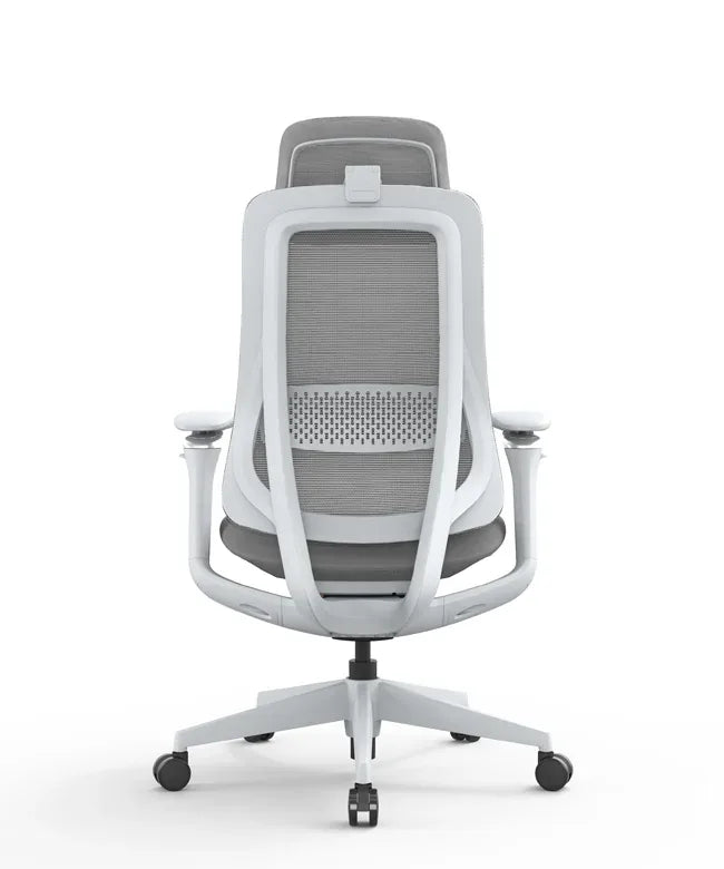 Ergonomic Office Chair Valaris Pro