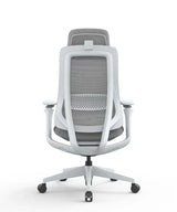 Ergonomic Office Chair Valaris Pro