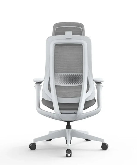 Ergonomic Office Chair Valaris Pro
