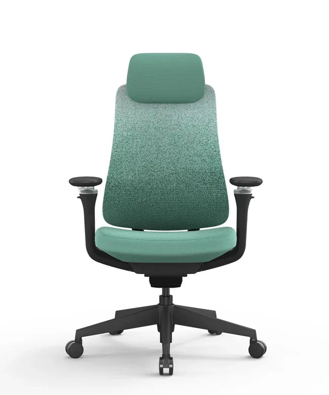 Ergonomic Office Chair Valaris Pro