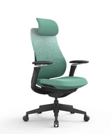 Ergonomic Office Chair Valaris Pro