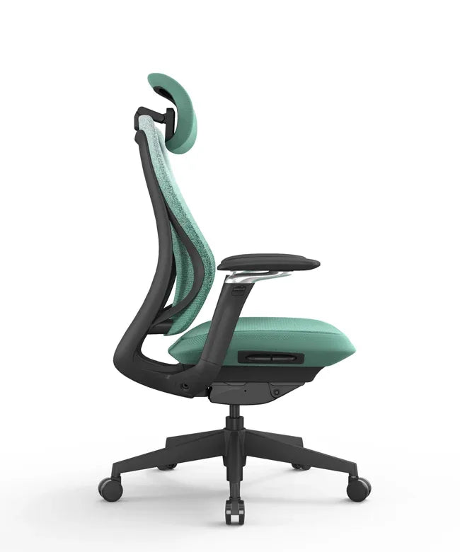 Ergonomic Office Chair Valaris Pro