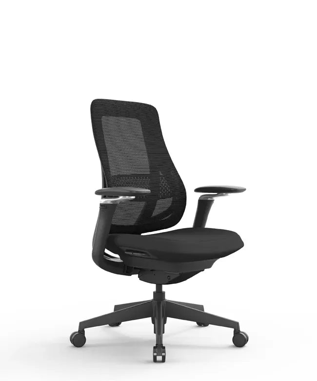 Ergonomic Office Chair Valaris Pro W