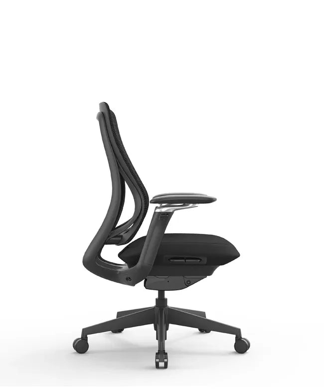 Ergonomic Office Chair Valaris Pro W